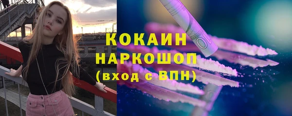 apvp Снежногорск