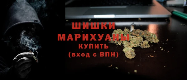 apvp Снежногорск