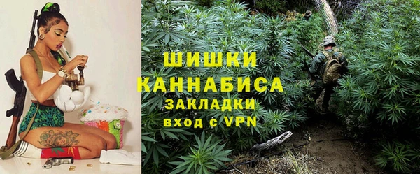сатива Слюдянка