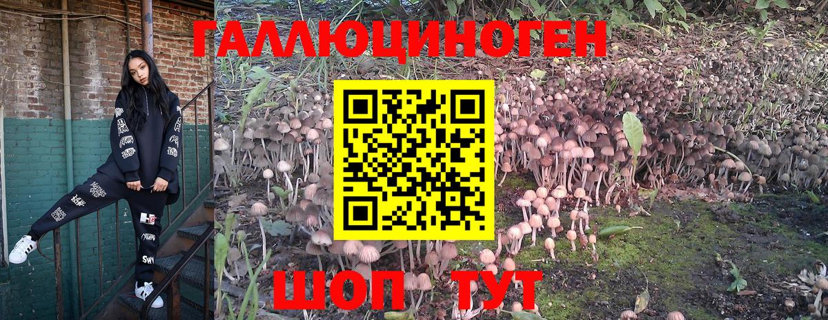 Галлюциногенные грибы мухоморы  Вход с VPN  Таганрог 