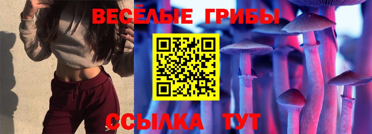 МЕФ  ГАШ  Таганрог  Вход с VPN  Меф  